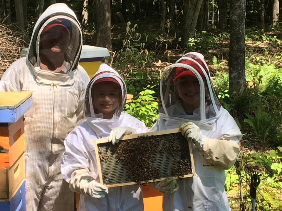 Beekeeping at Black Dog Farm